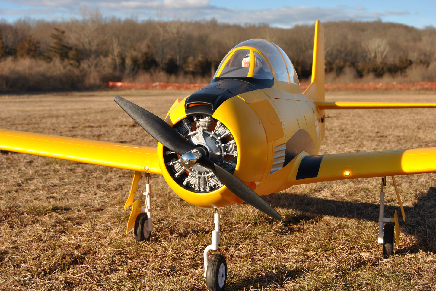 T-28 E-flite 2.0m Upgraded Direct Fit Dummy Radial Engine